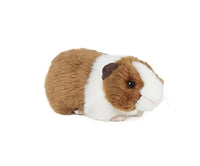 Thumbnail for Brown Guinea Pig with Sound