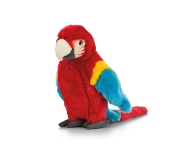 Red Macaw