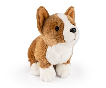 Corgi