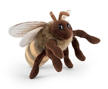 European Honey Bee