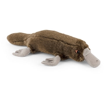 Duck Billed Platypus