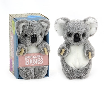 Babies Koala