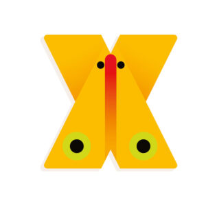 Djeco Graphic Letters - X